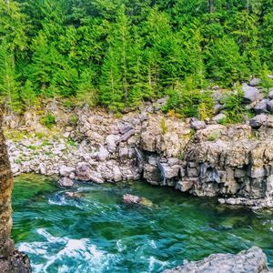 Meet your Posher, Aleah